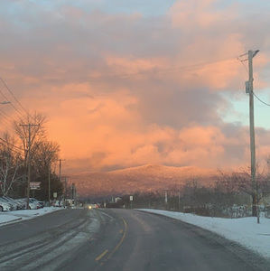 Meet your Posher, Reagan